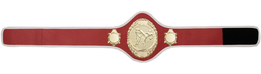 KICKBOXING CHAMPIONSHIP BELT-PRO286/G/KBOG-10+ COLOURS